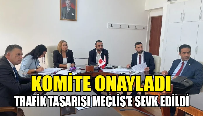 Yol güvenliği tasarısının ele alındığı komite toplantısında yer aldı